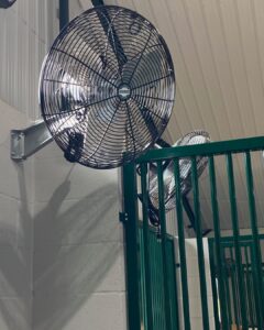 horse stall fans