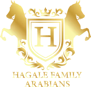 hagale family arabians