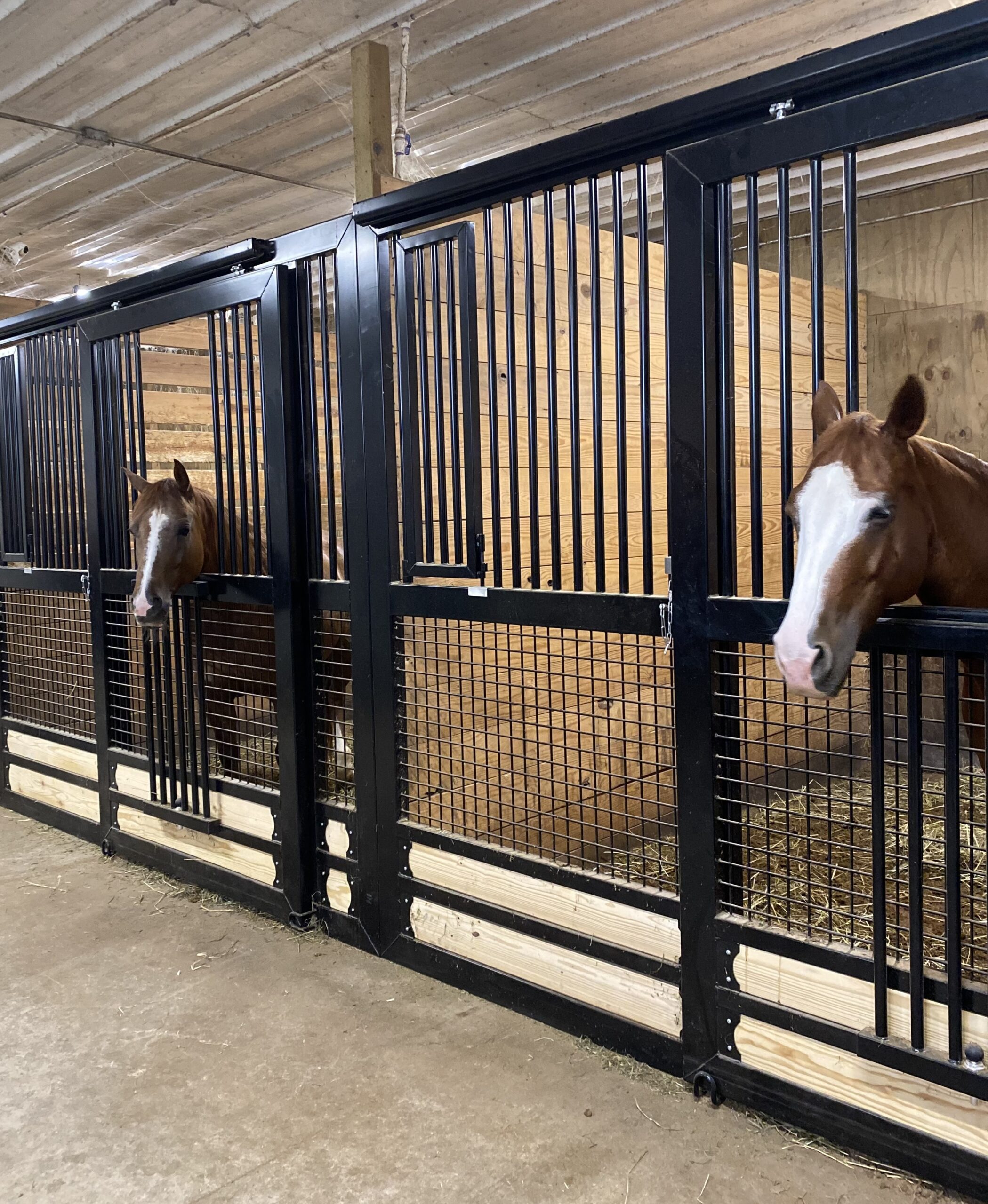 Horse Stalls, Horse Stall, Sliding Door Horse stalls, Mesh stall front, custom horse stall