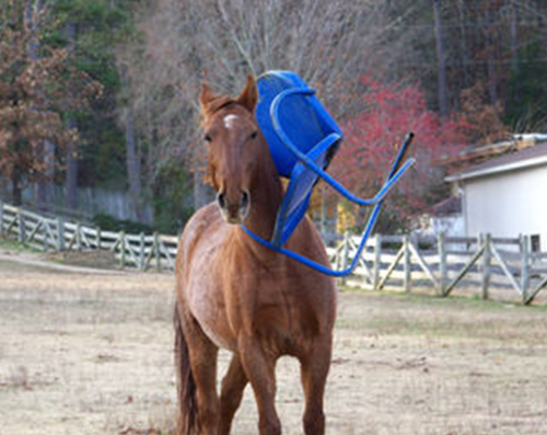 horse and chair