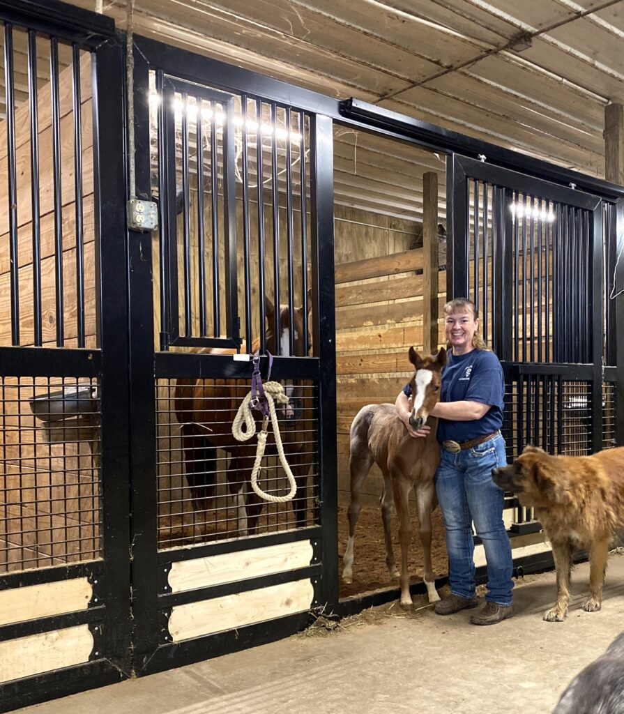 horse stall, horse stalls, sliding door horse stall, sliding door horse stalls, black horse stalls, black horse stall, horse stall front, horse barn, equine barn, custom horse stalls, custom horse stall, custom horse barn, luxury horse stalls