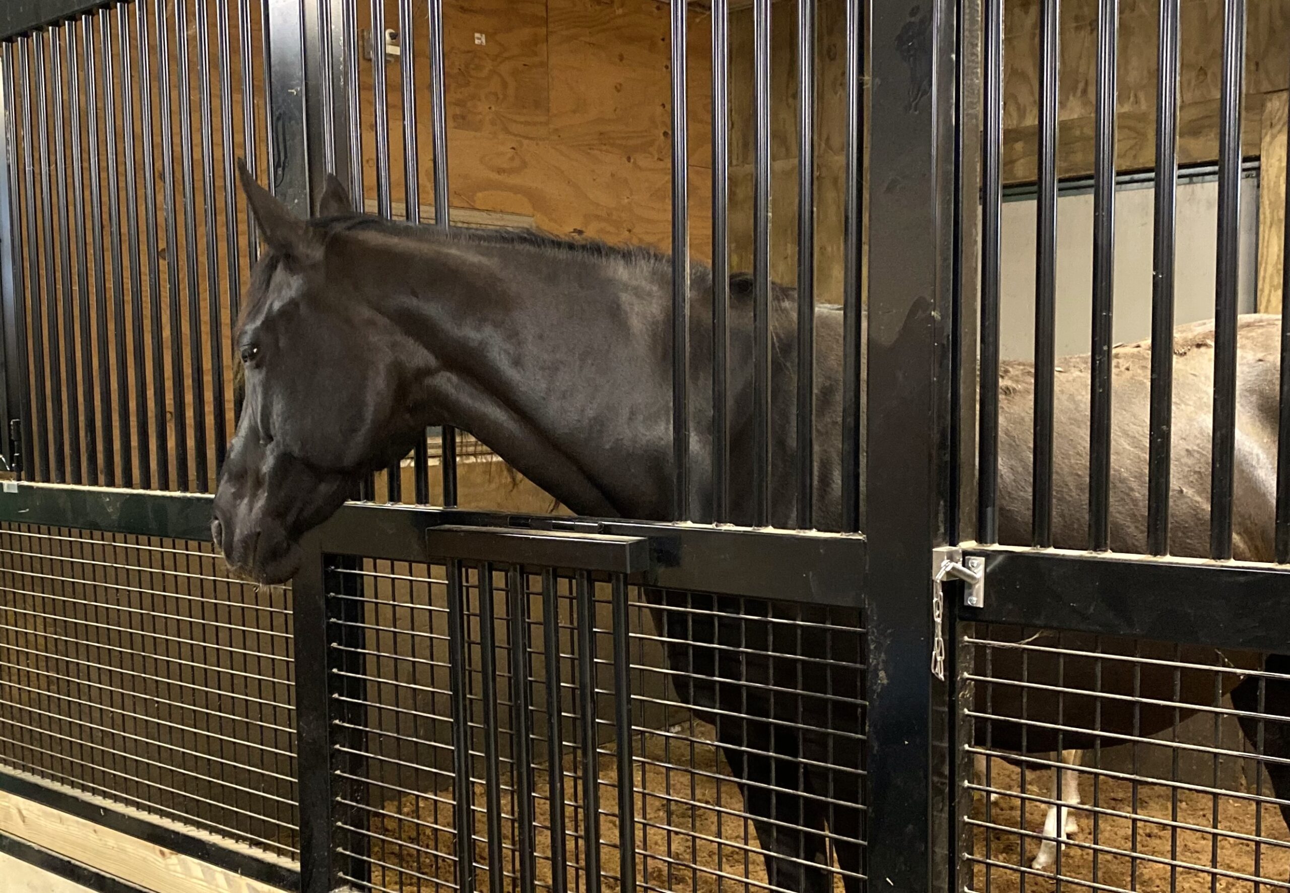 horse stall, horse stalls, sliding door horse stall, sliding door horse stalls, black horse stalls, black horse stall, horse stall front, horse barn, equine barn, custom horse stalls, custom horse stall, custom horse barn, luxury horse stalls