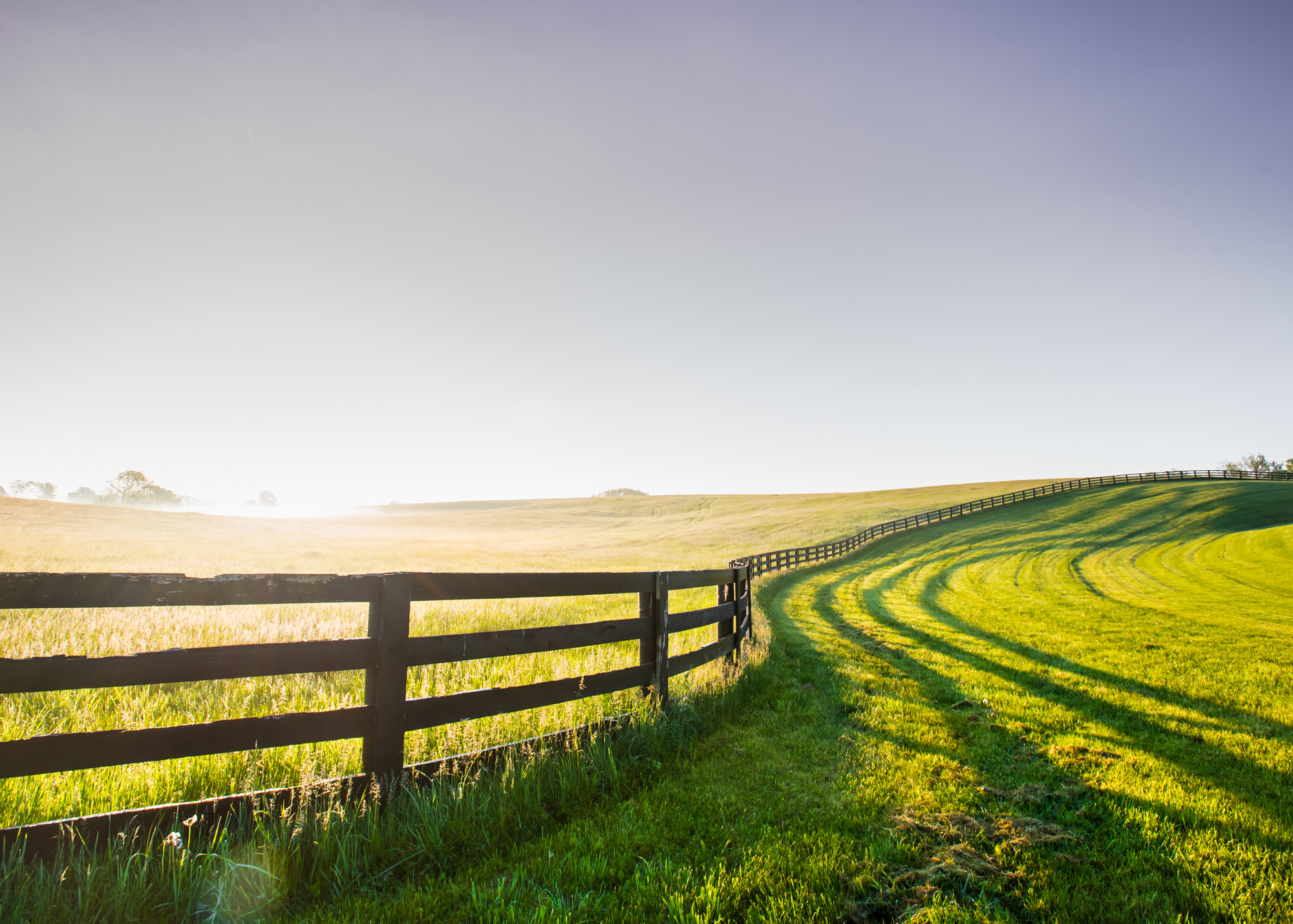 pasture fencing