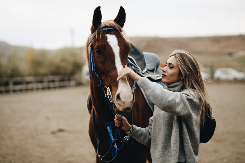 bringing your horse home first time