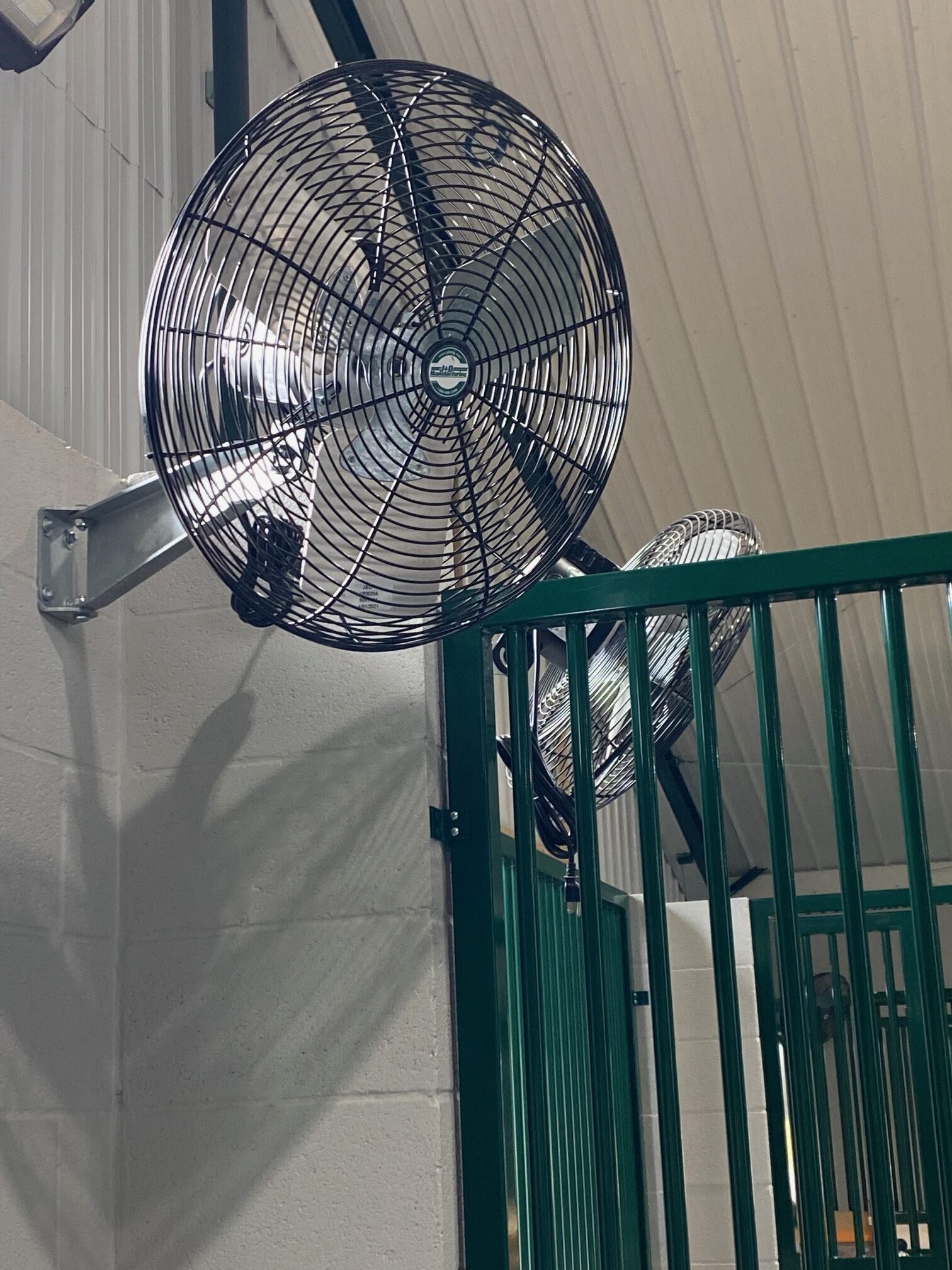 Fan