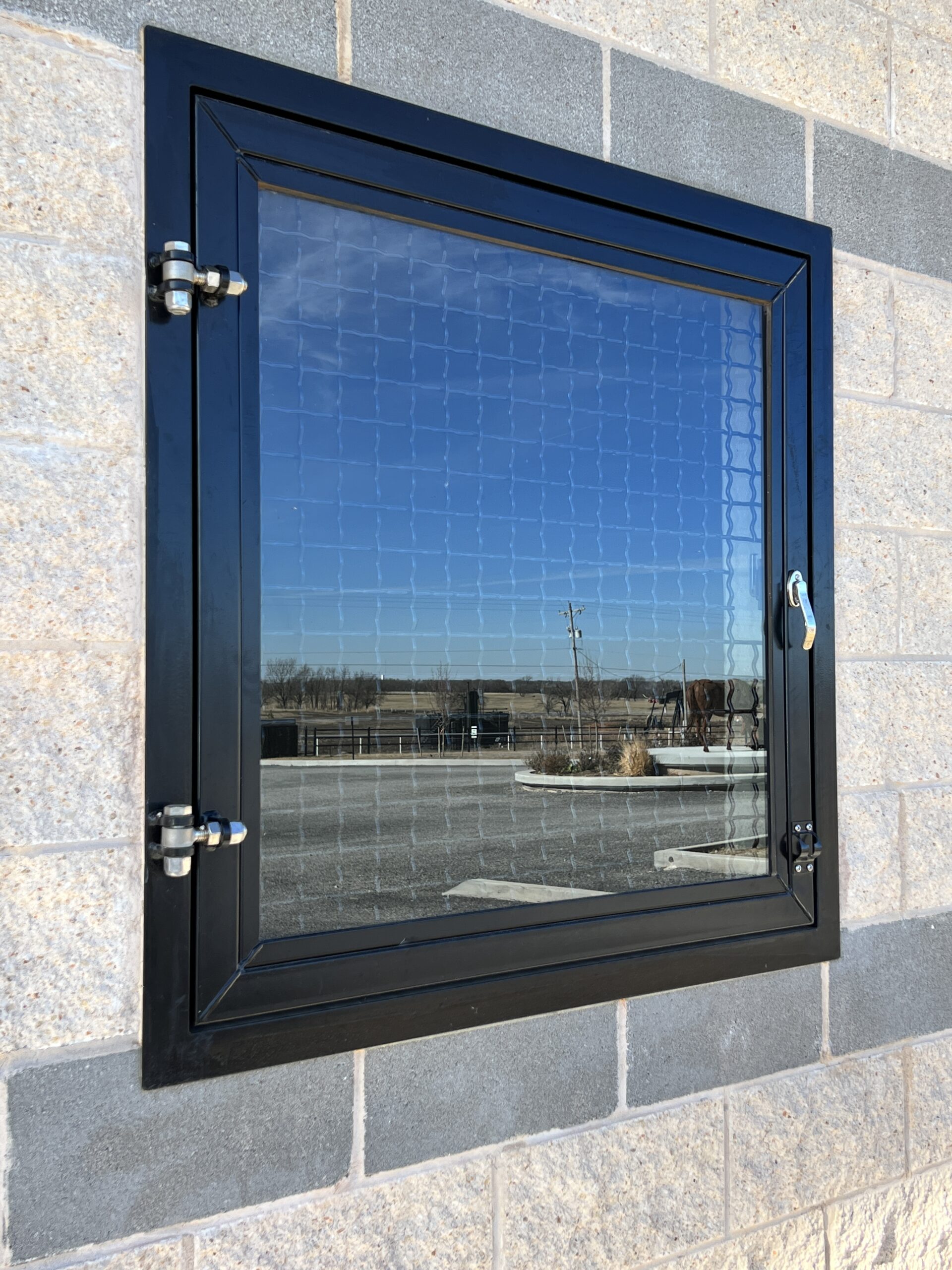 Window with Mesh Guard